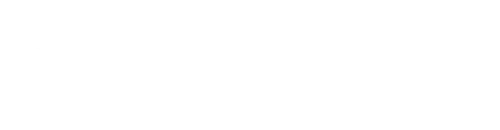 se_logo_white