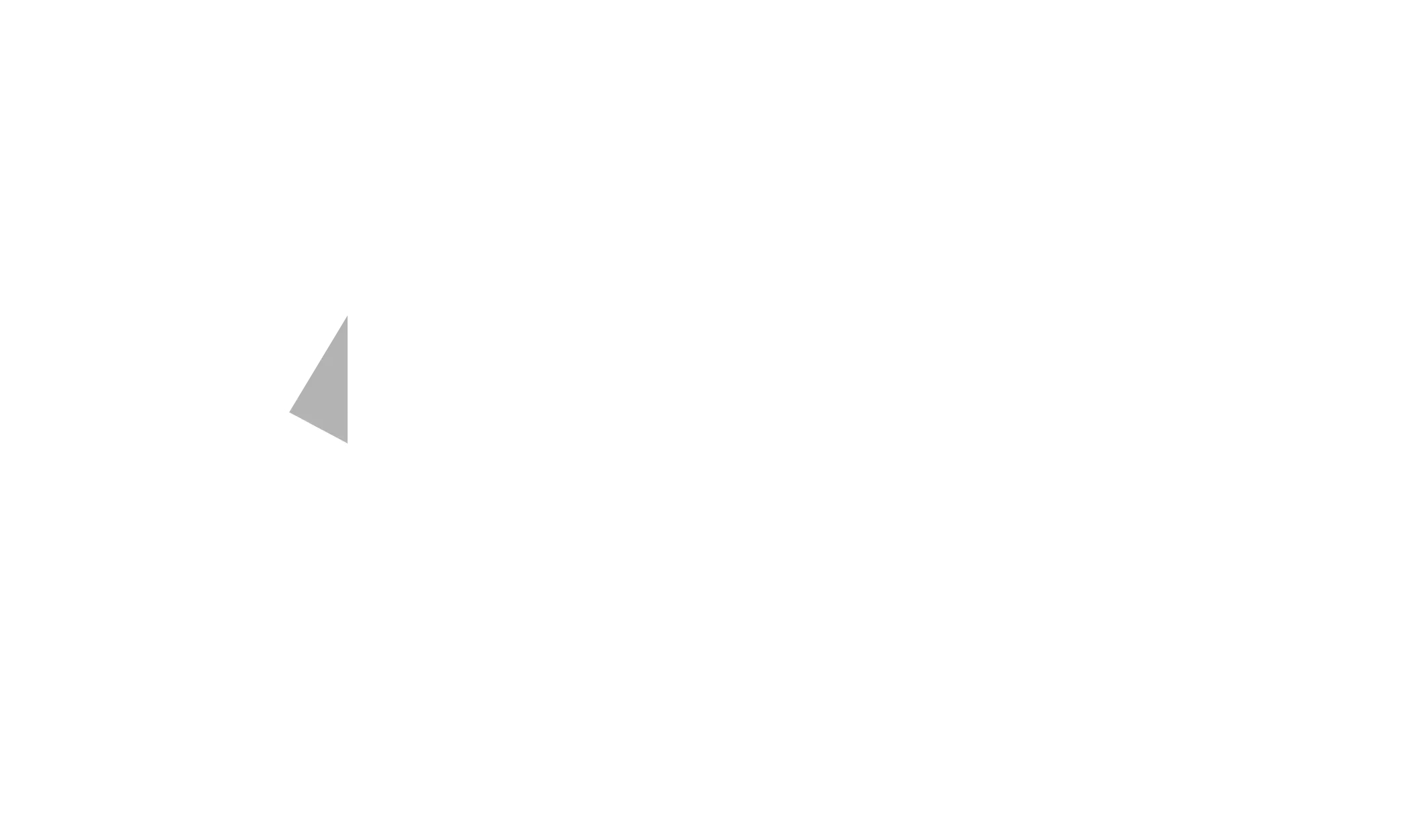 Door Bird